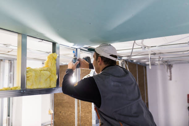 Best Fiberglass Insulation  in Skagway, AK