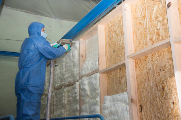 Best Crawl Space Insulation  in Skagway, AK