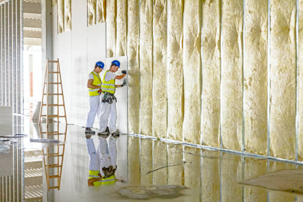 Best Attic Insulation Installation  in Skagway, AK